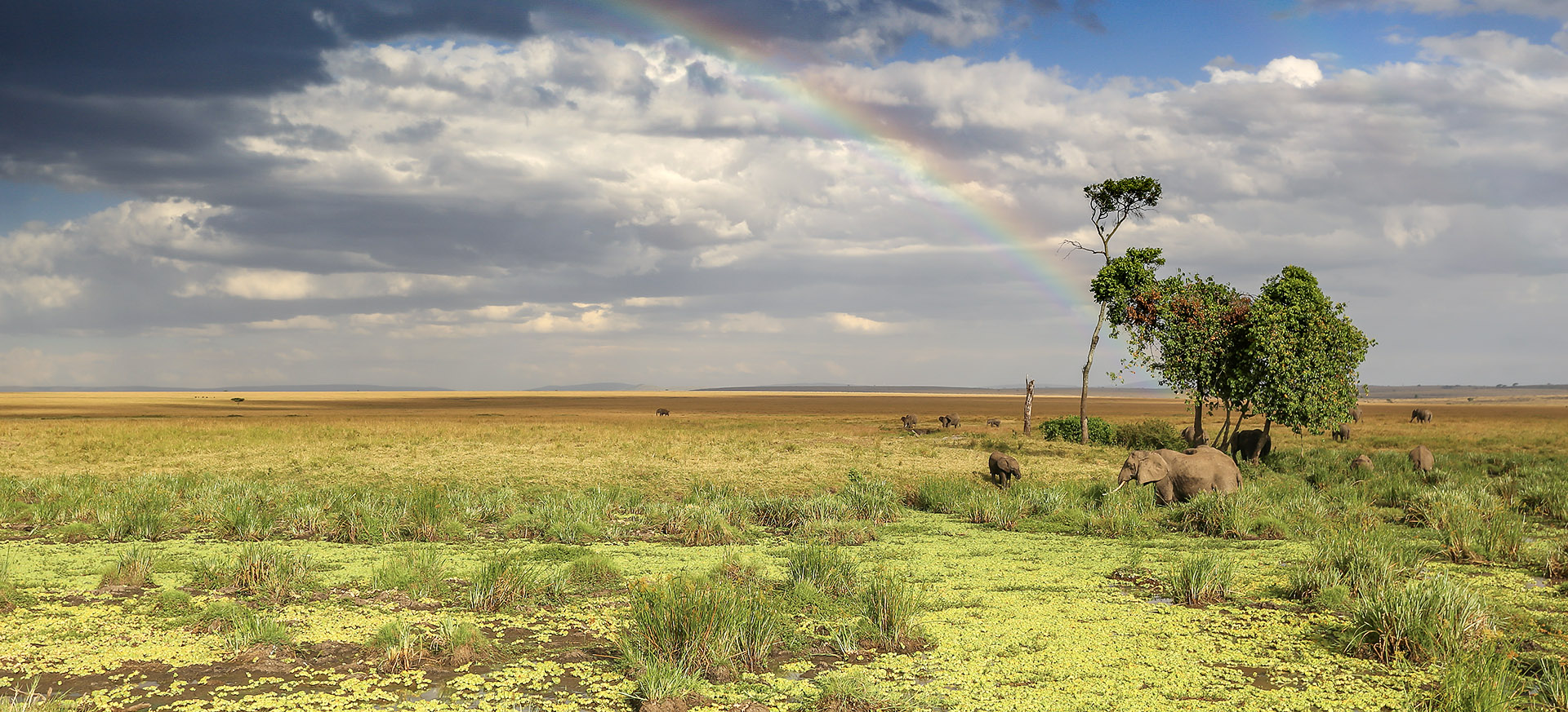 let us know your thoughts about Kenya and we will help you create the perfect trip 