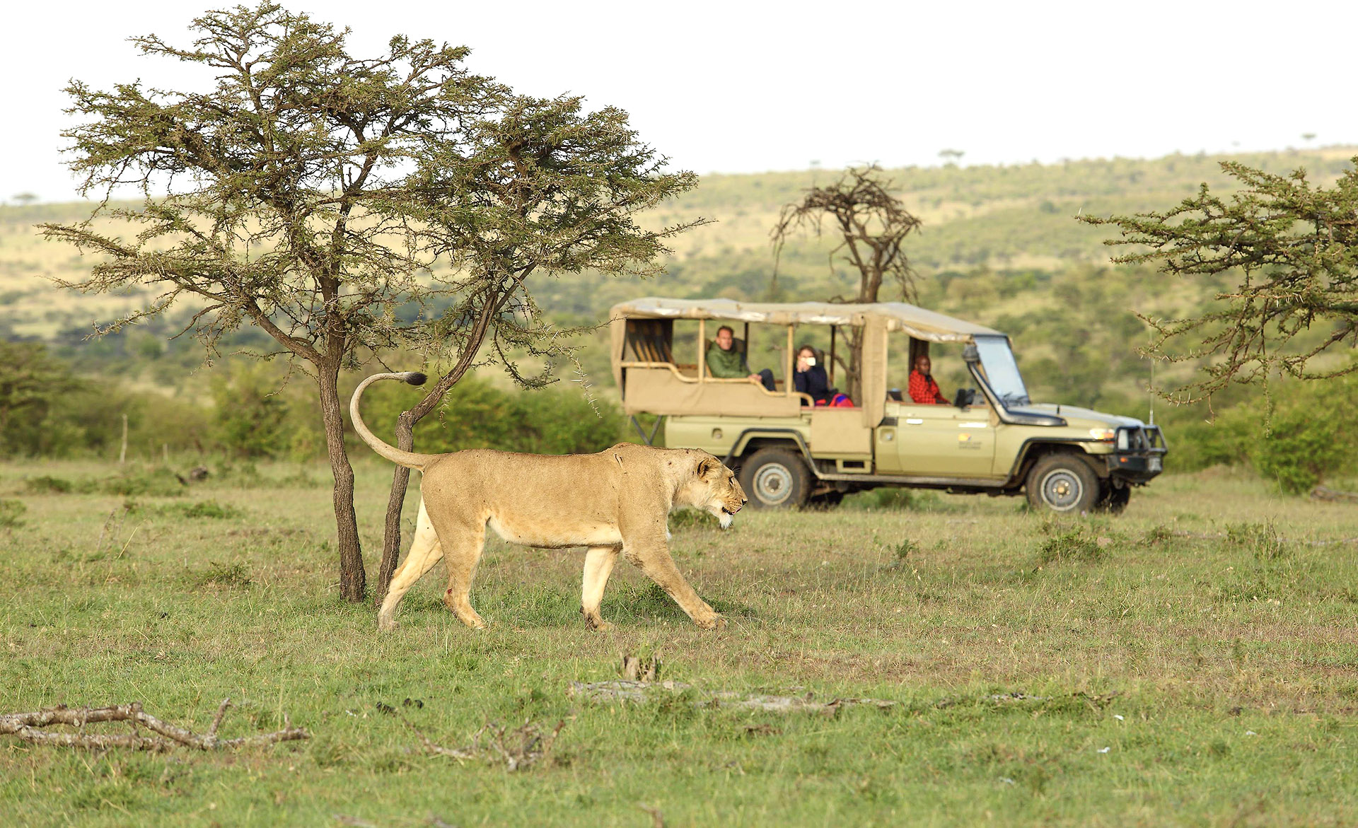 Conservation in the Naboisho Conservancy