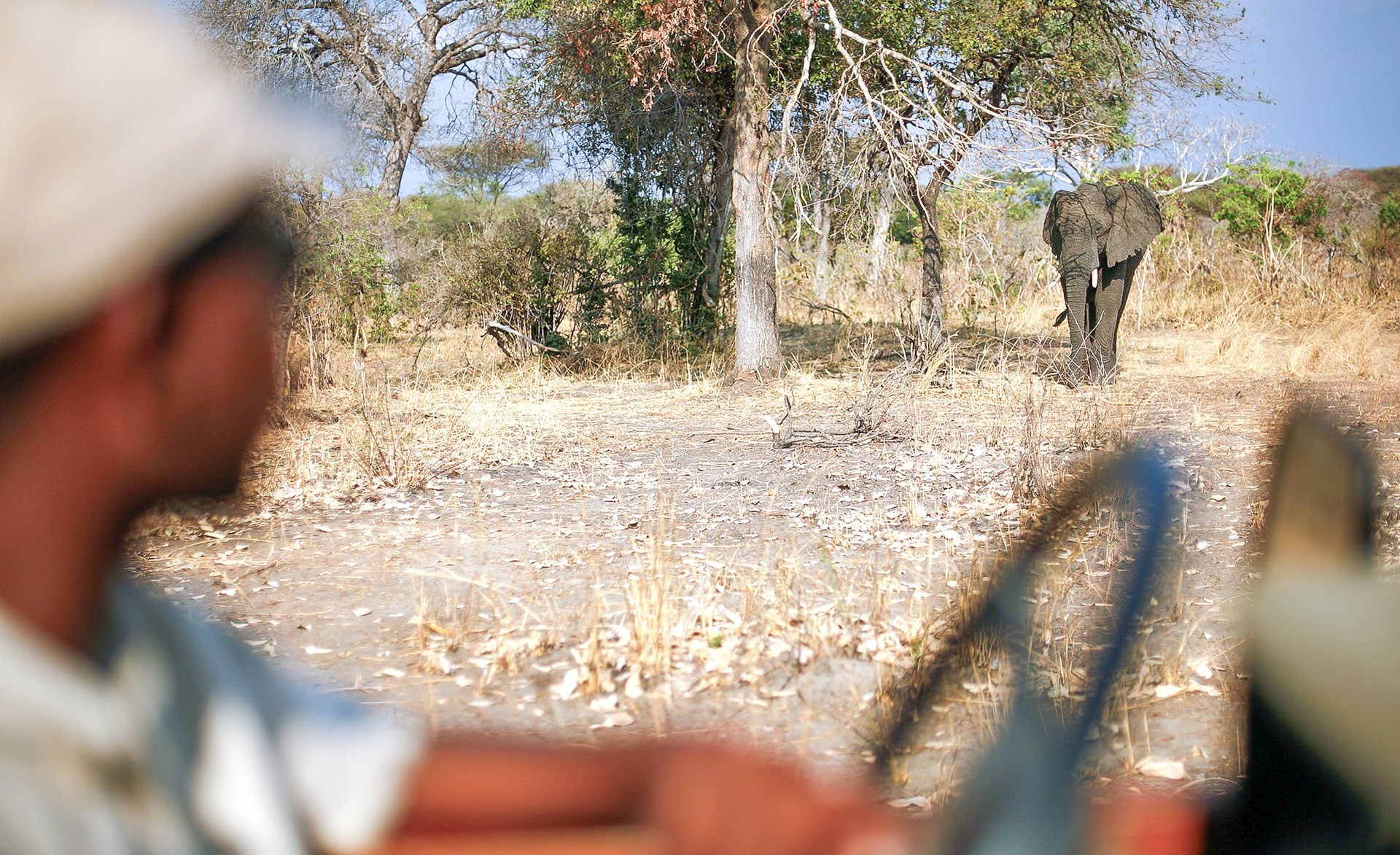 The geography and wildlife of Katavi