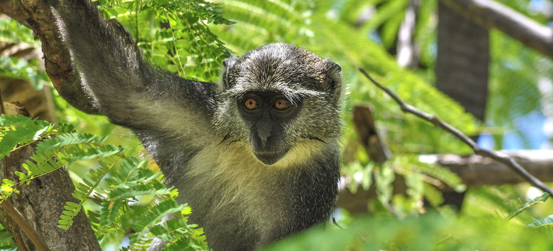 let us know your thoughts about Tanzania and we will help you create the perfect trip