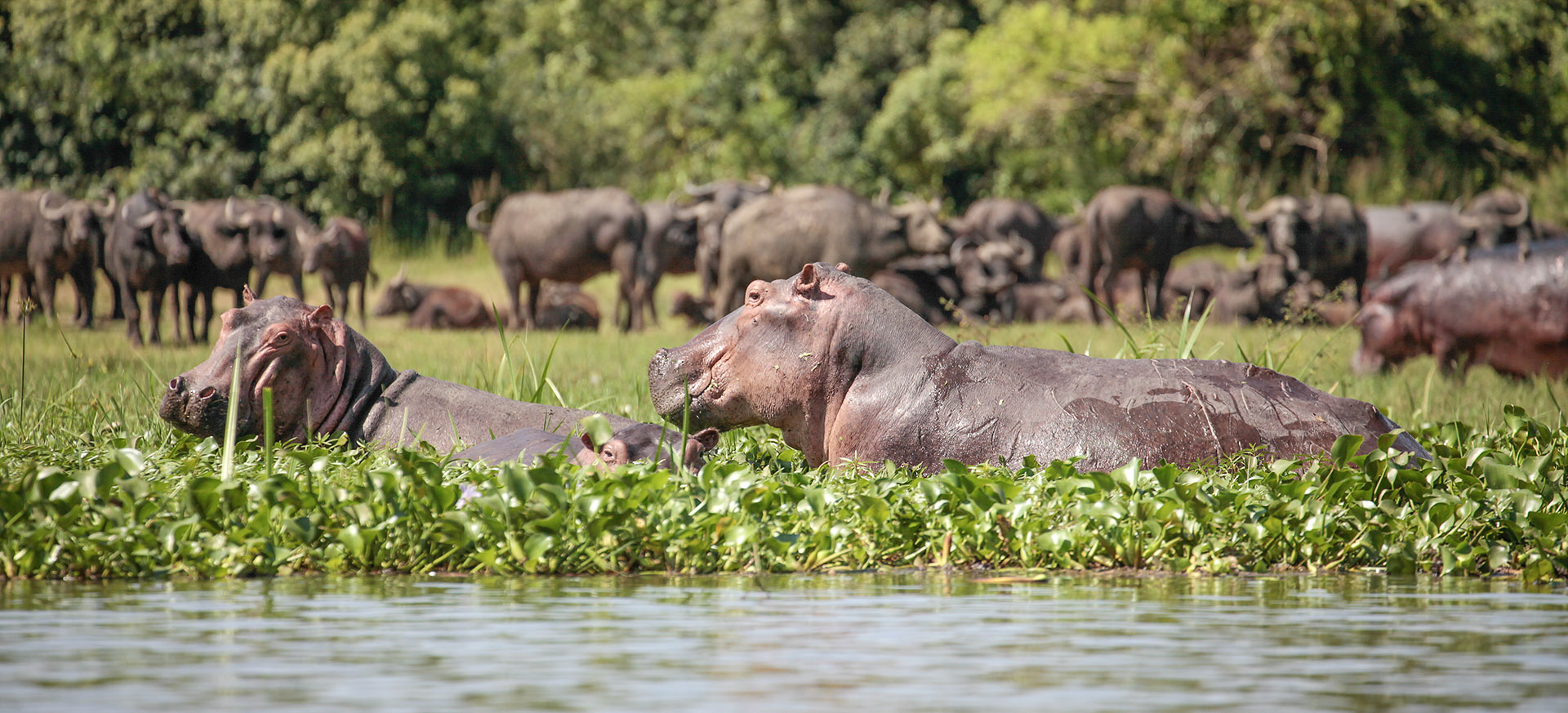 is an major reserve in the Rift Valley