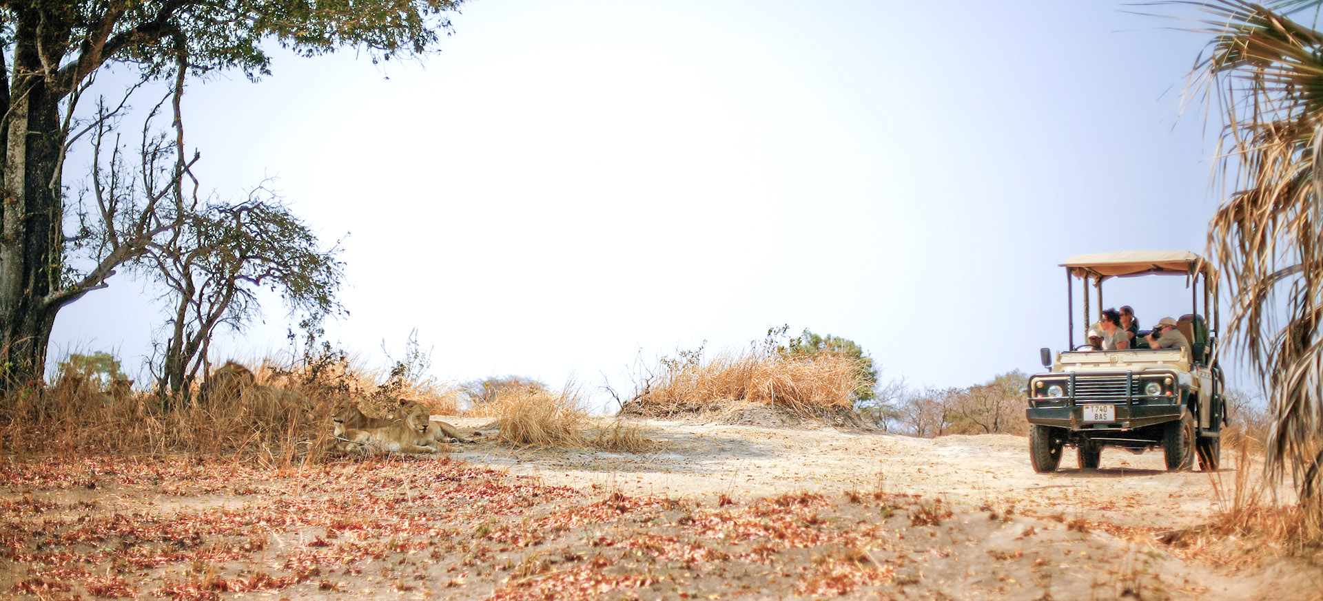 let us know your thoughts about Tanzania and we will help you create the perfect trip 