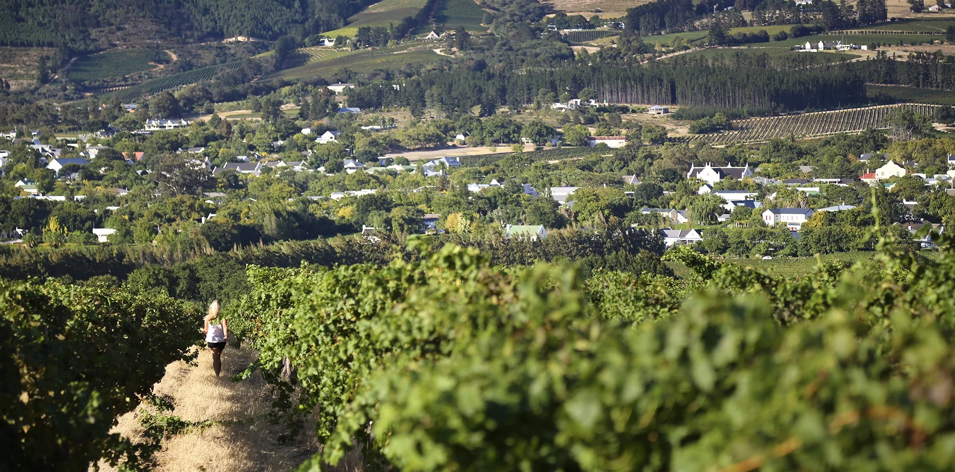 let us know your thoughts about Africa and we will make sure to deliver the perfect trip 