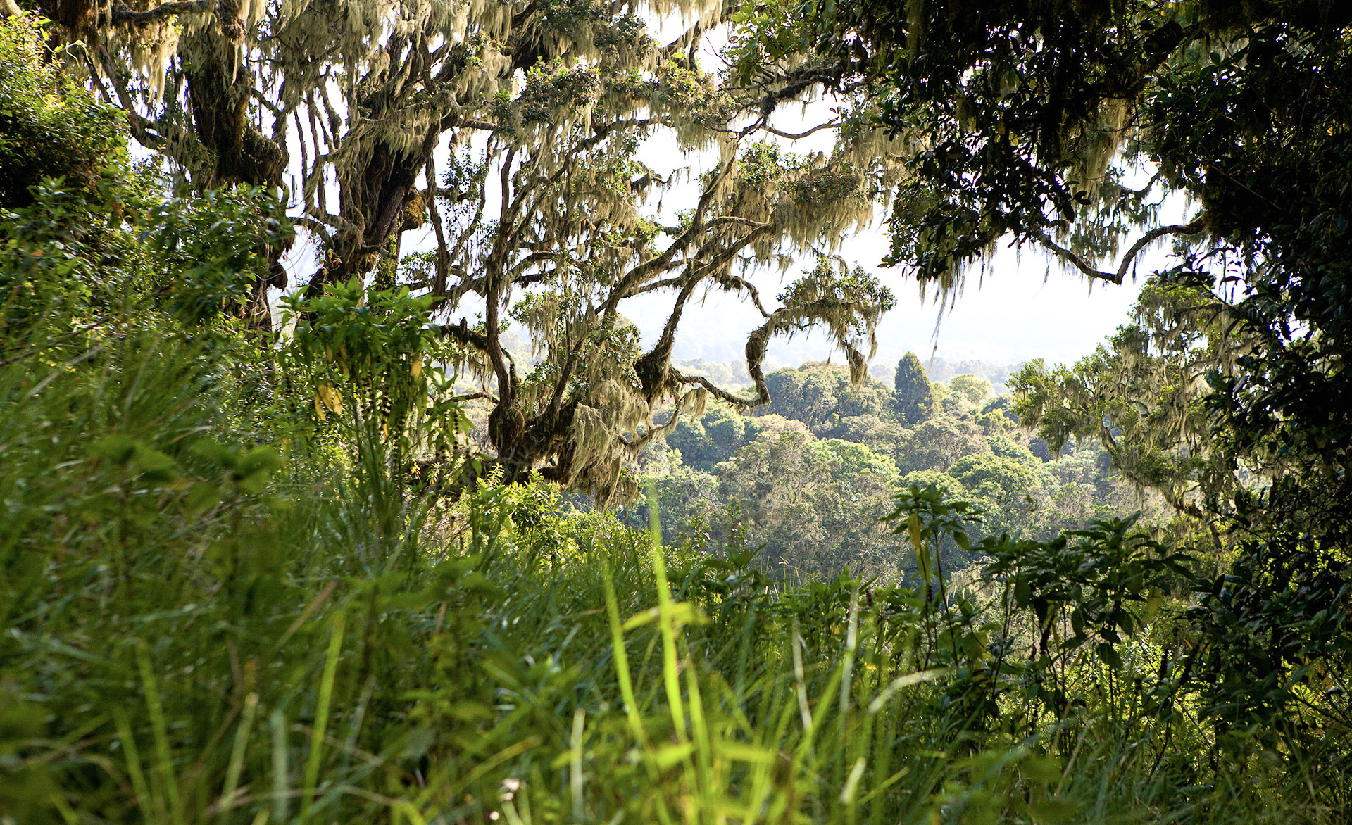 The geography of Arusha National Park