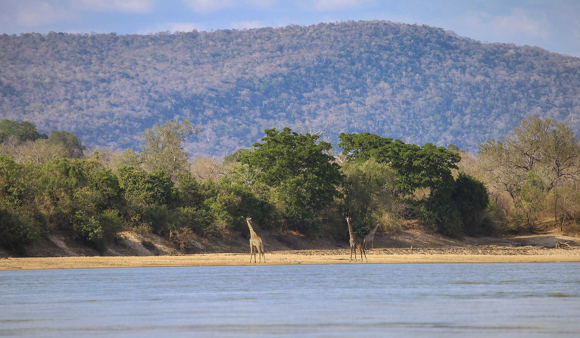 The history and geography of Selous