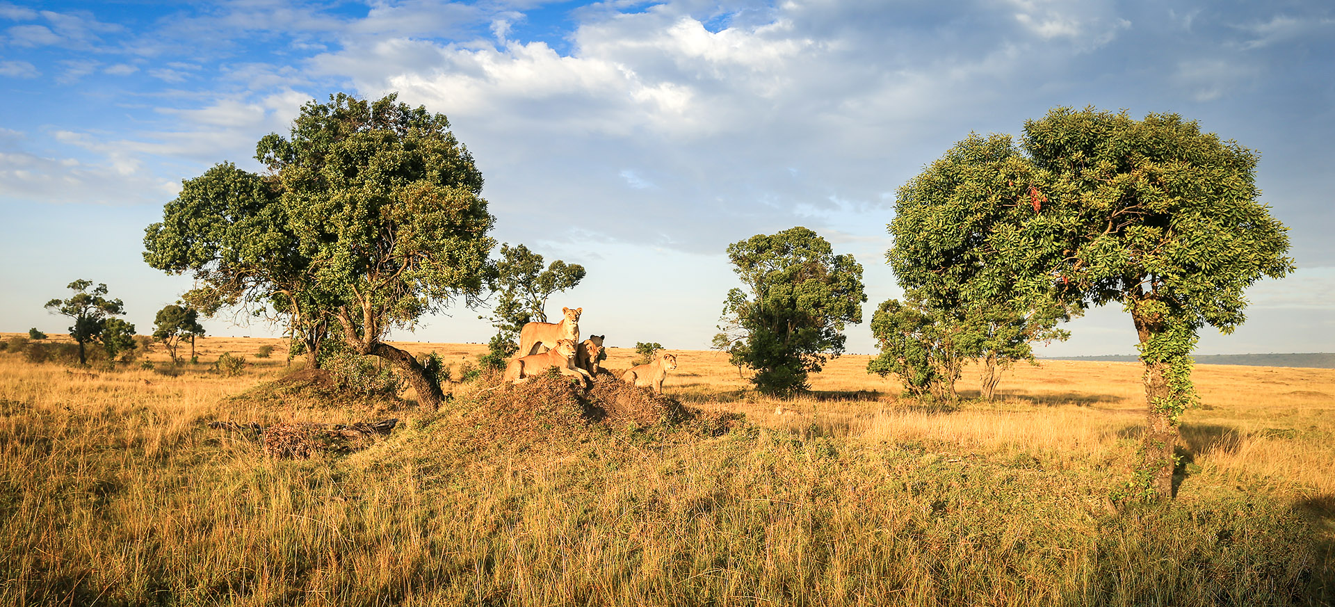 is one of several private areas within the Maasai Mara