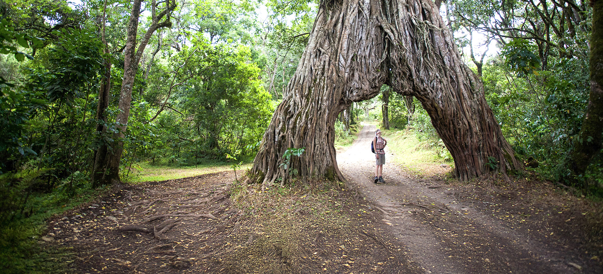 is a fascinating place with a wide range of activities
