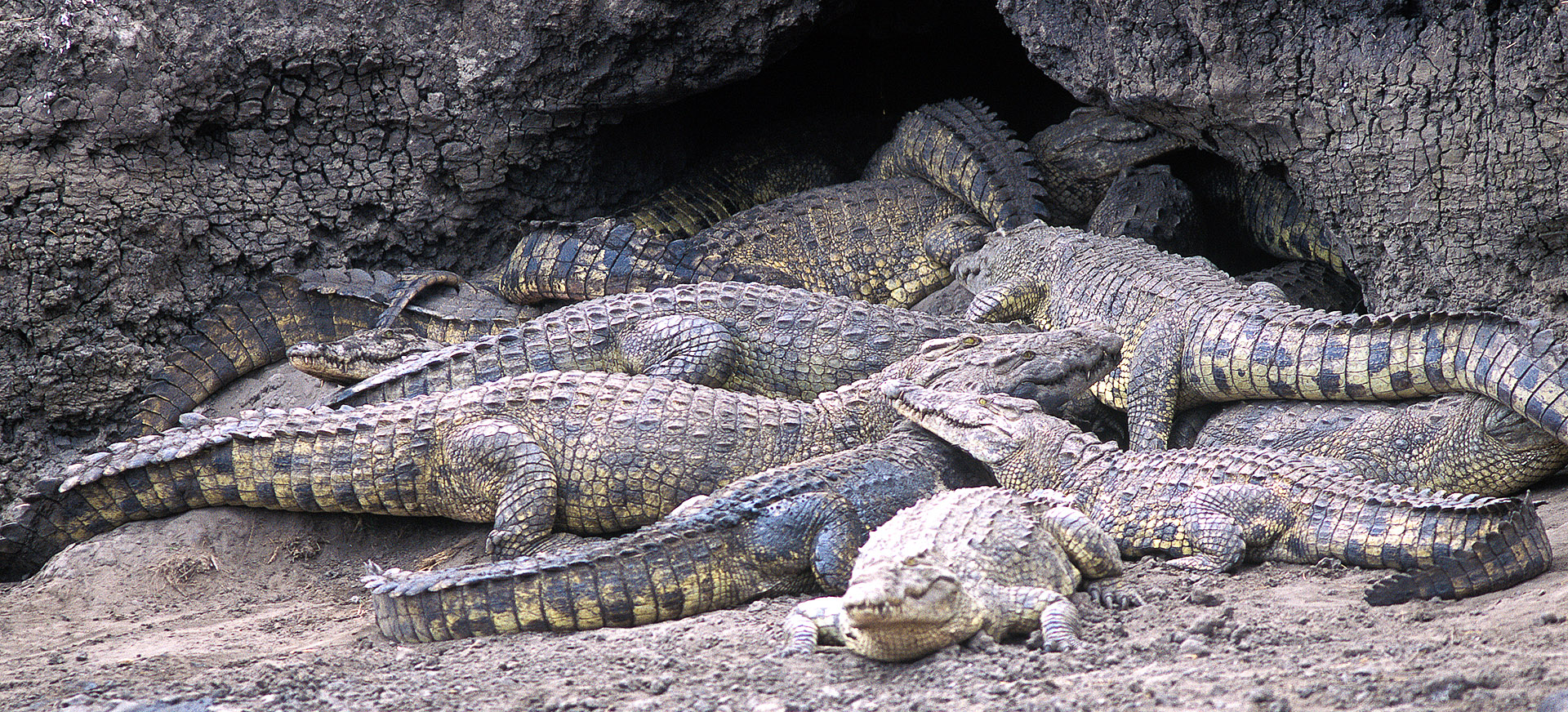 is generally best visited during the Jul-Oct dry season 