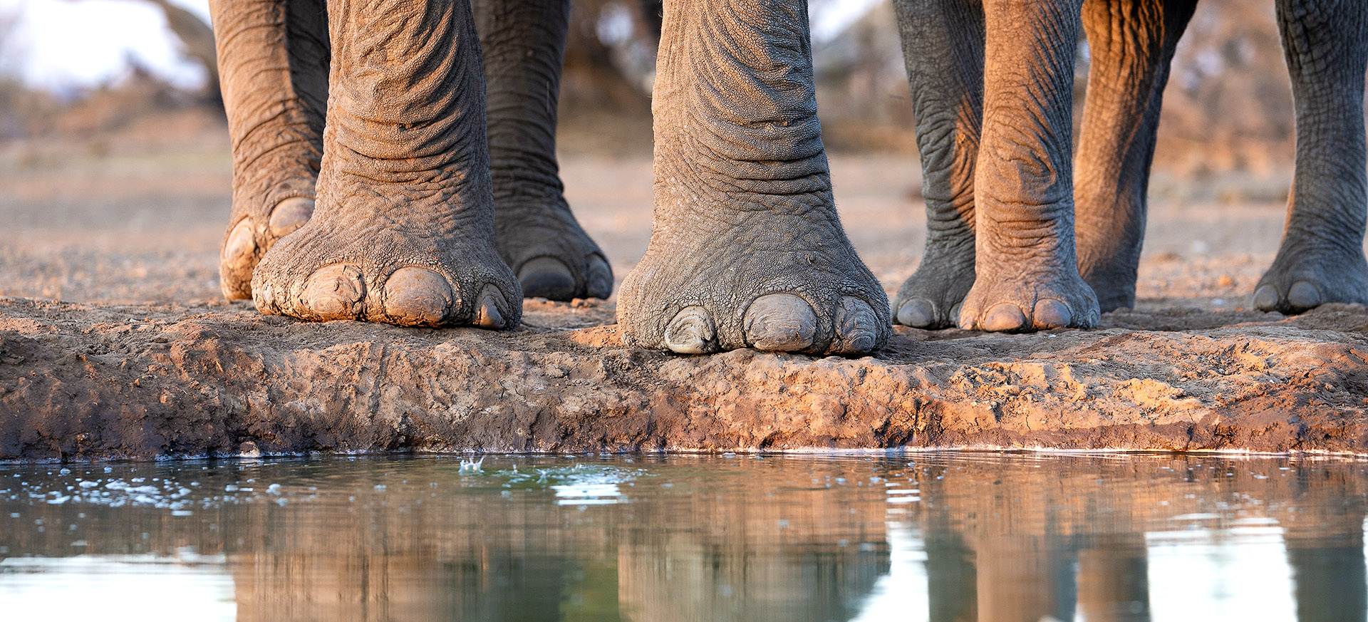 is a safari area with an unusual history, of hominids, warfare and diamonds