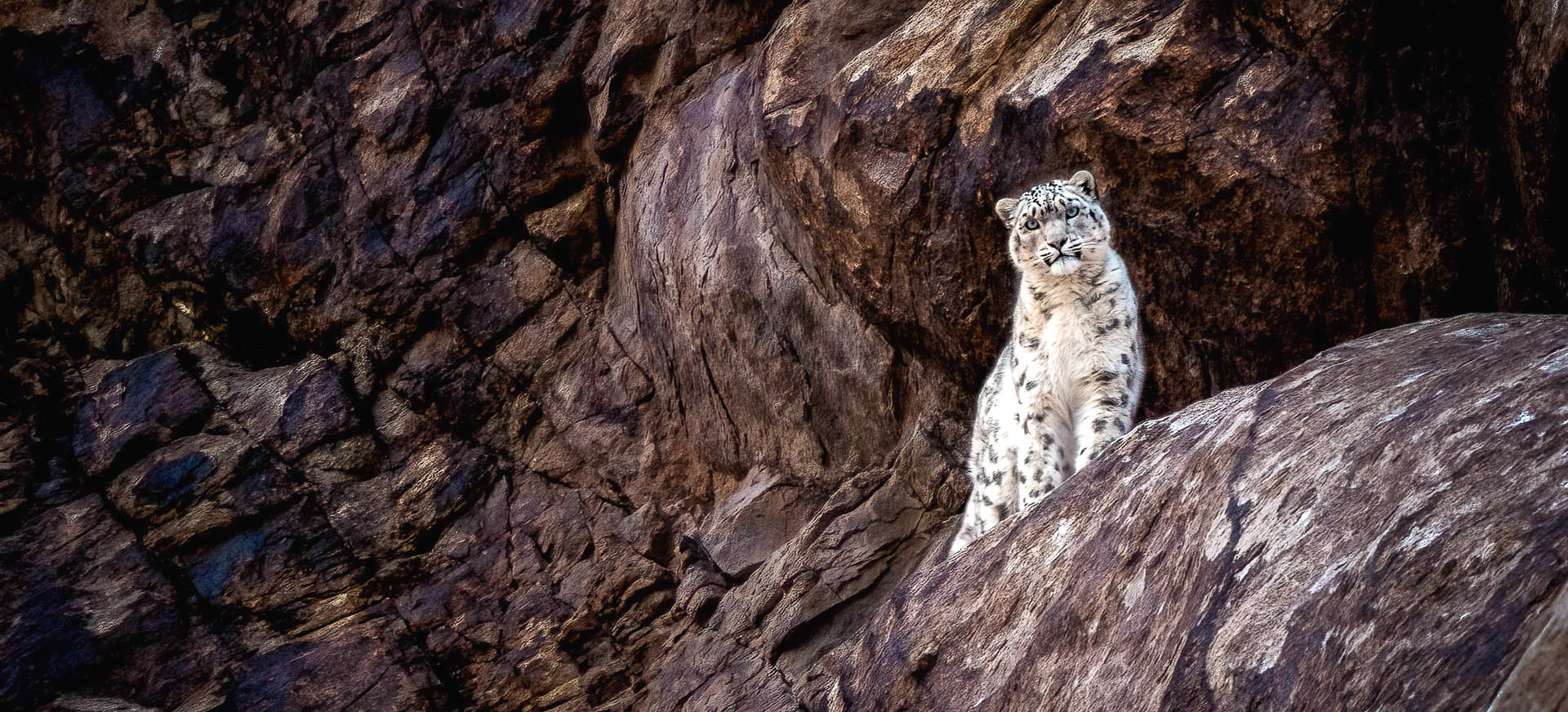 let us know your thoughts about Asia and we will help you create the perfect trip