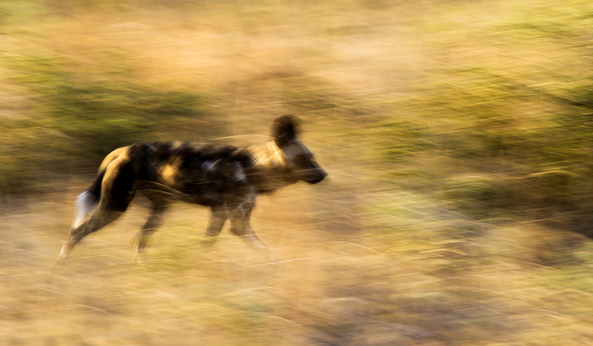 is the start of the main dry season, a lovely peaceful period in most safari areas 