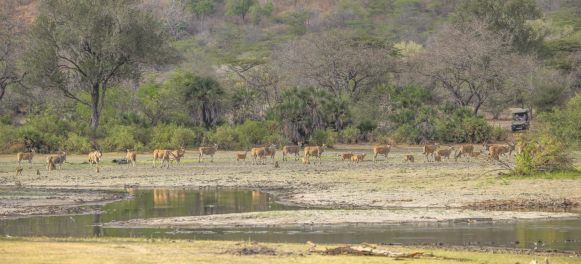is a vast reserve with prodigious wildlife