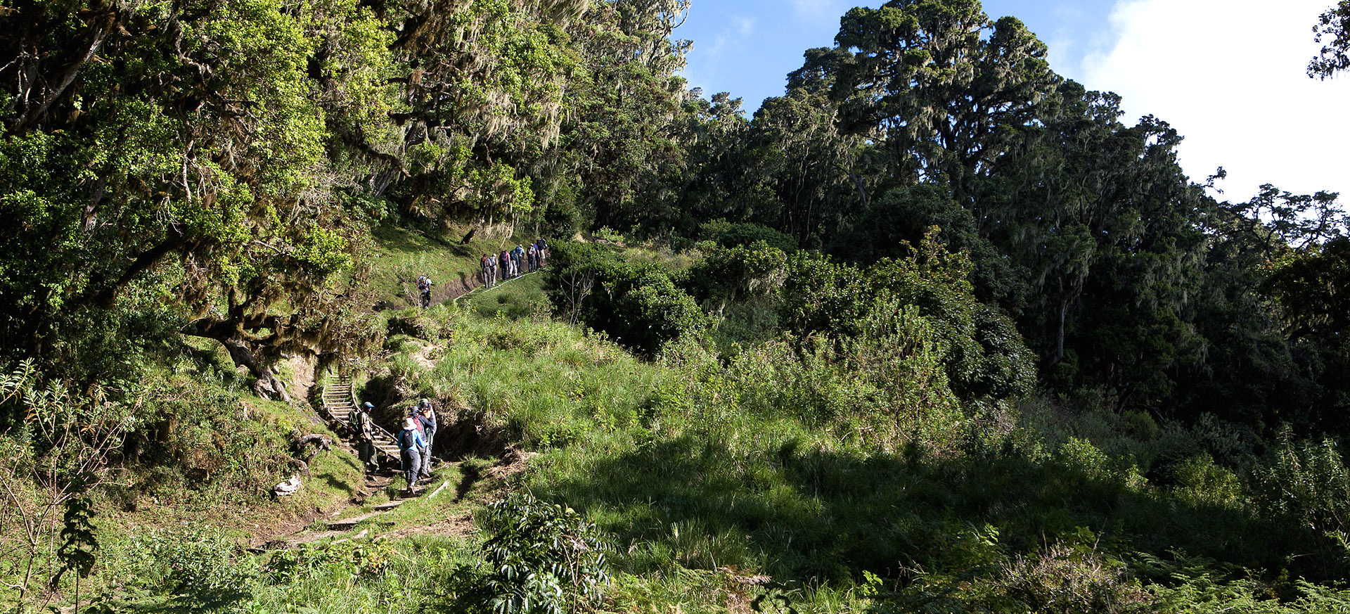 let us know your thoughts about Tanzania and we will help you create the perfect trip
