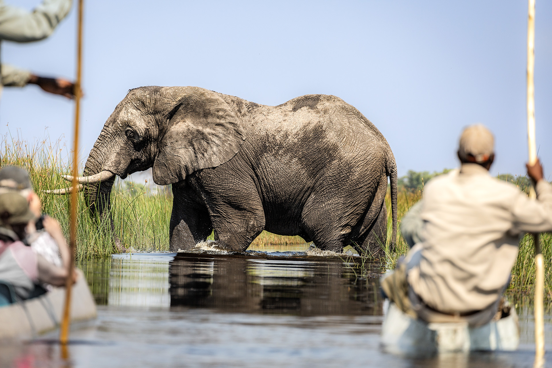 The best locations for safari in Africa in September