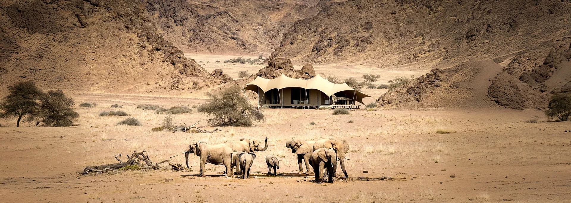 let us know your thoughts about Africa and we will make sure to deliver the perfect trip 
