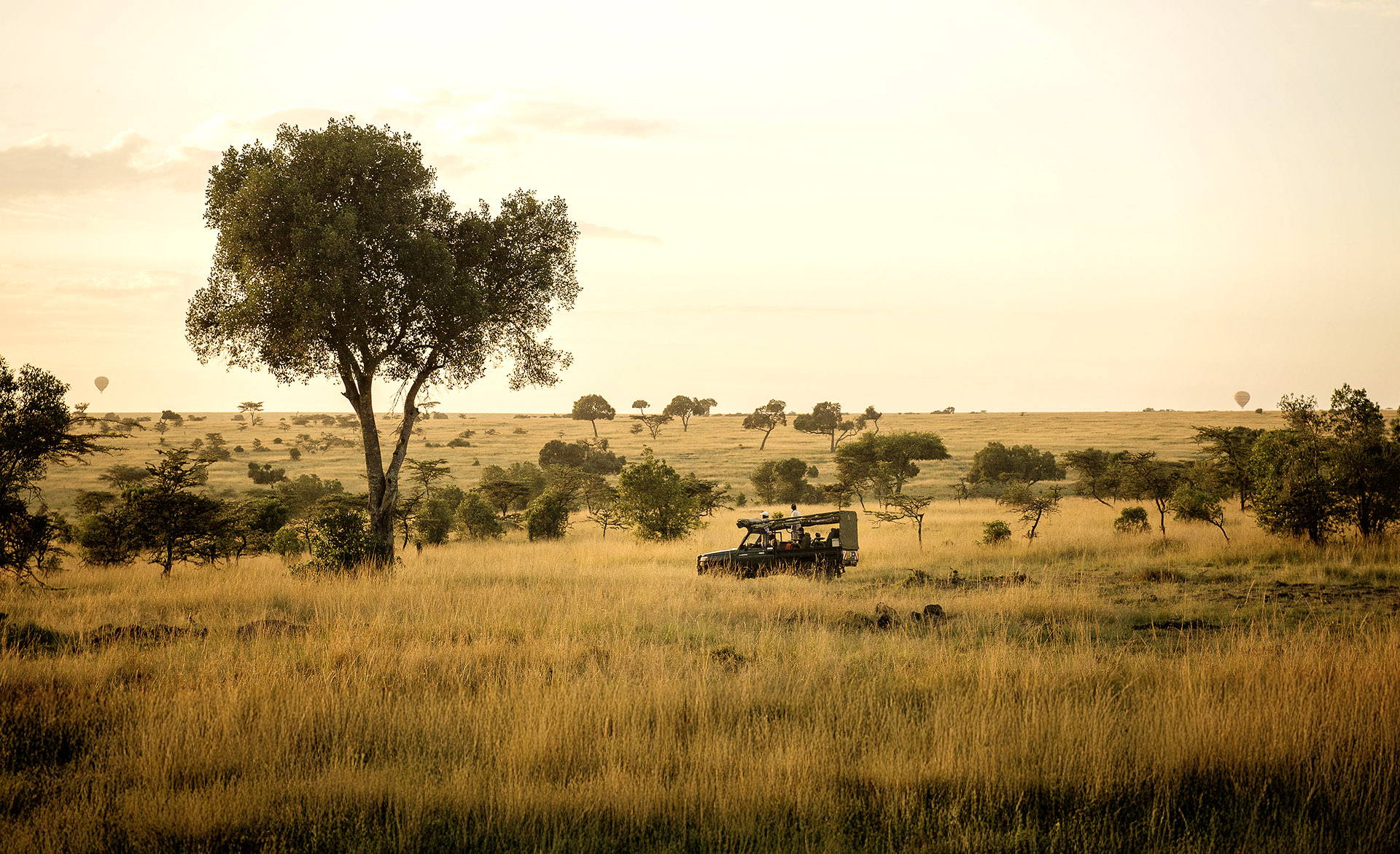 Conservation in Mara North Conservancy
