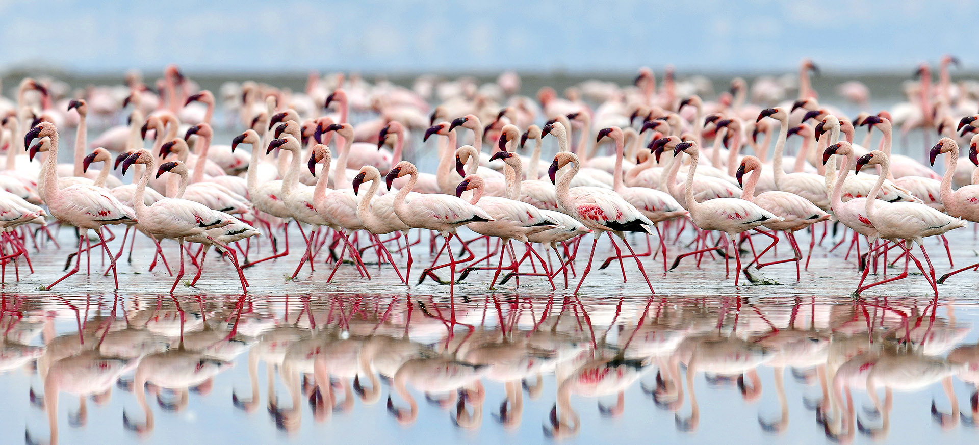 let us know your thoughts about Tanzania and we will help you create the perfect trip