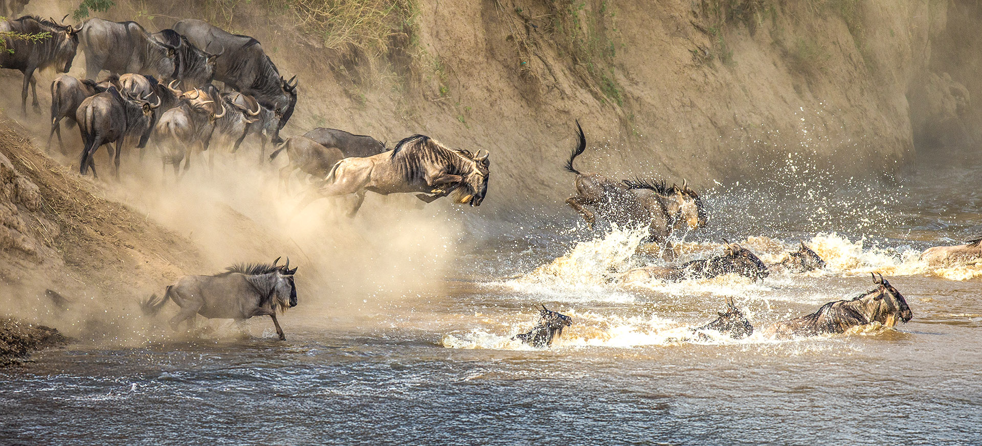 hosts the migration herds Jul-Oct, whilst Serengeti sees action all year