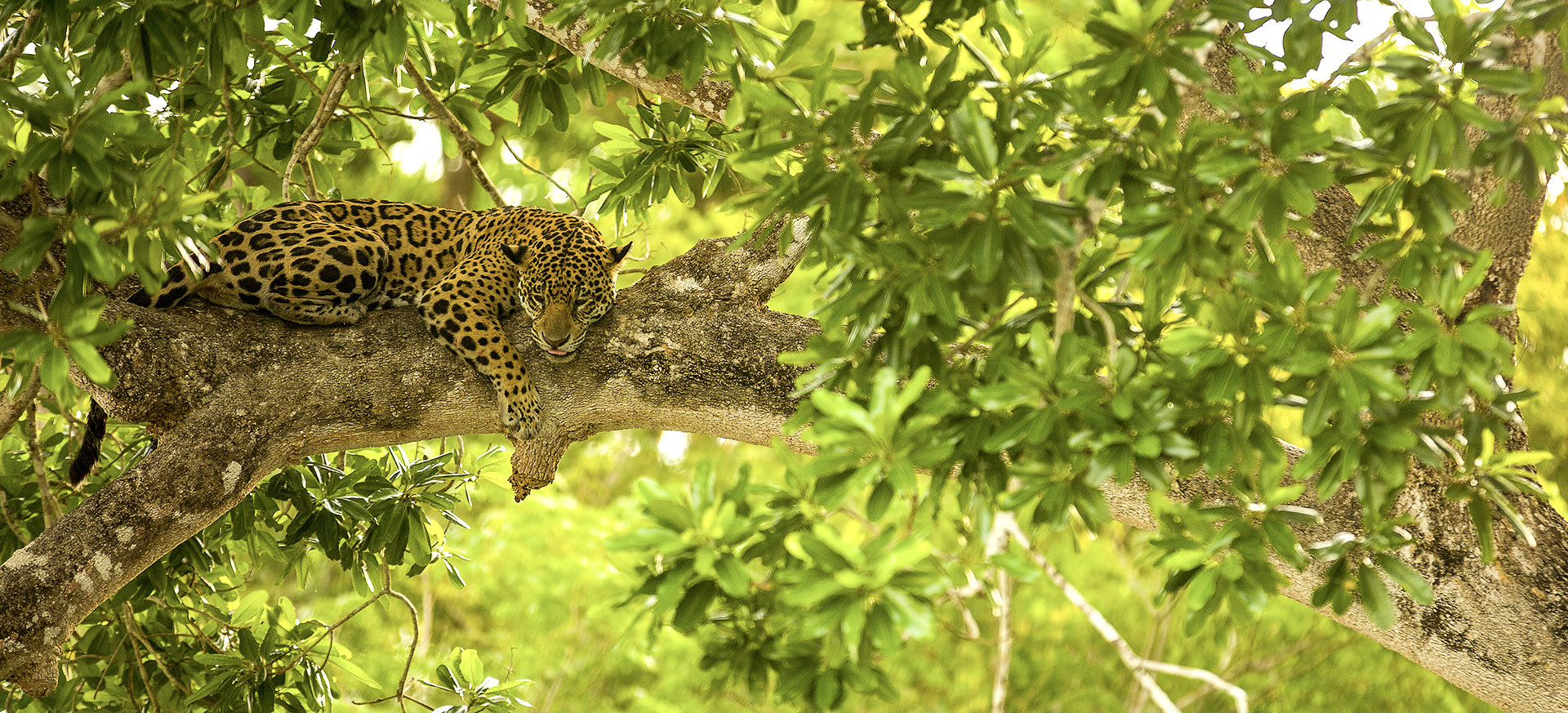 offer a remarkable diversity of experiences