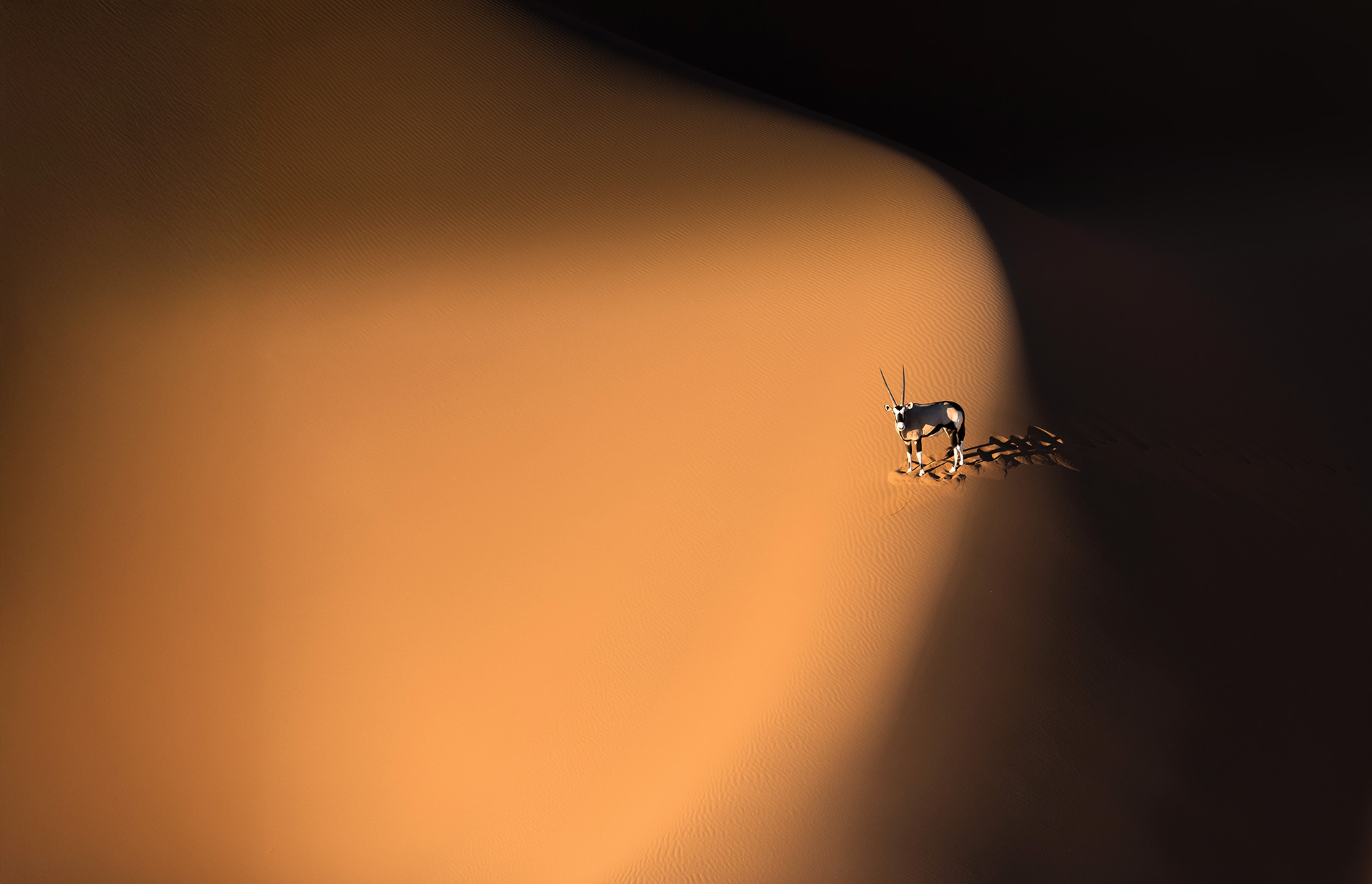 Safari in October
