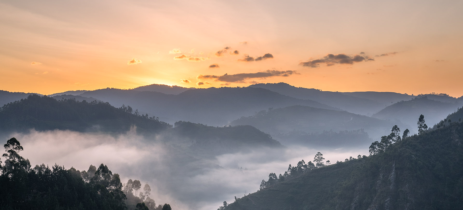 let us know your thoughts about Uganda and we will make sure to deliver the perfect trip