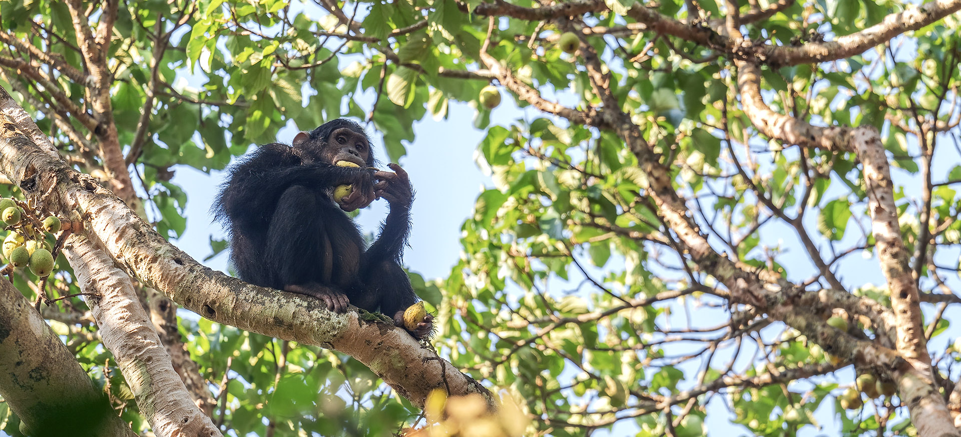 let us know your thoughts about Uganda and we will help you create the perfect trip
