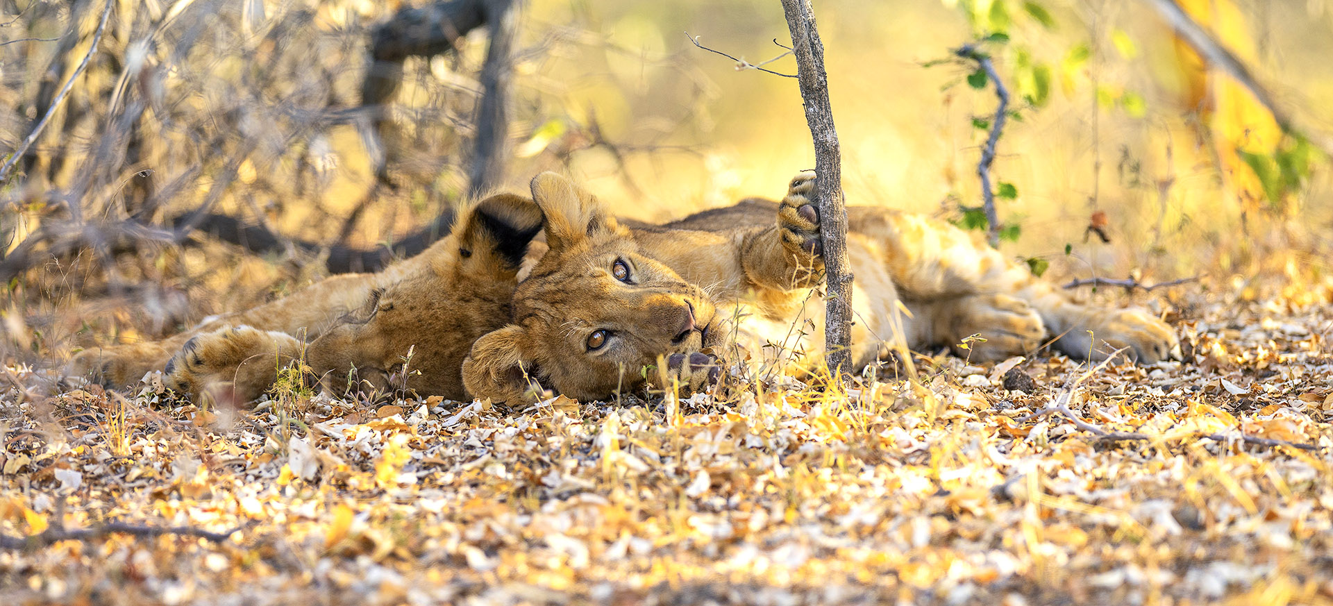 is usually best visited during the Jul-Oct dry season
