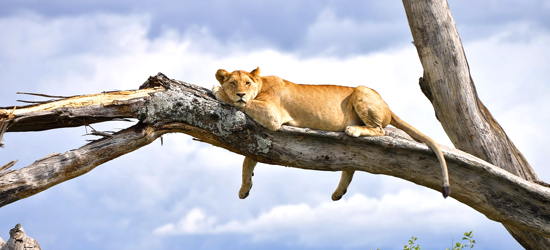 contains a critically important groundwater springs