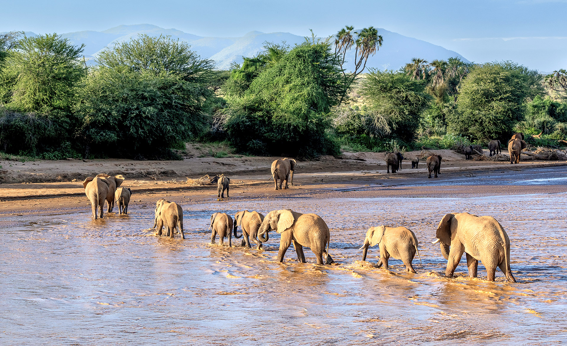 When to go on safari in Samburu