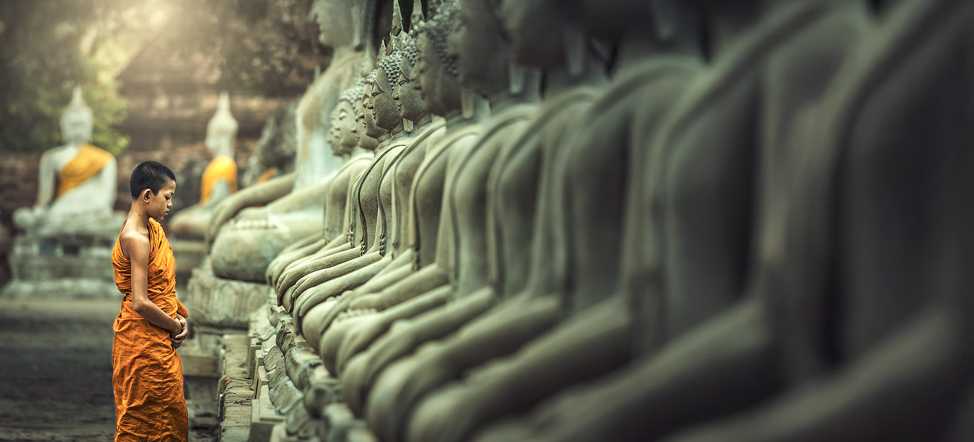 start by choosing the area which interests you the most