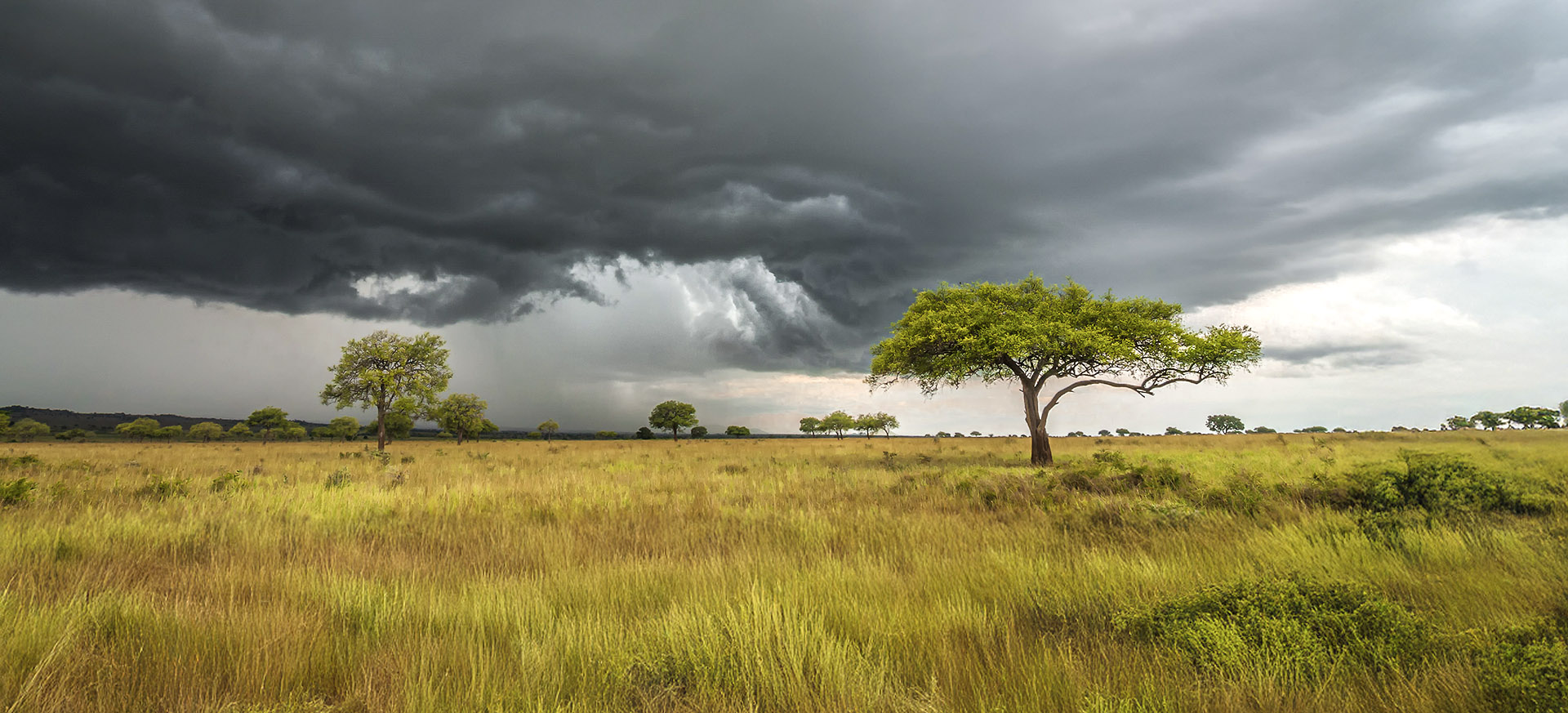 one of the least-visited safari areas in East Africa