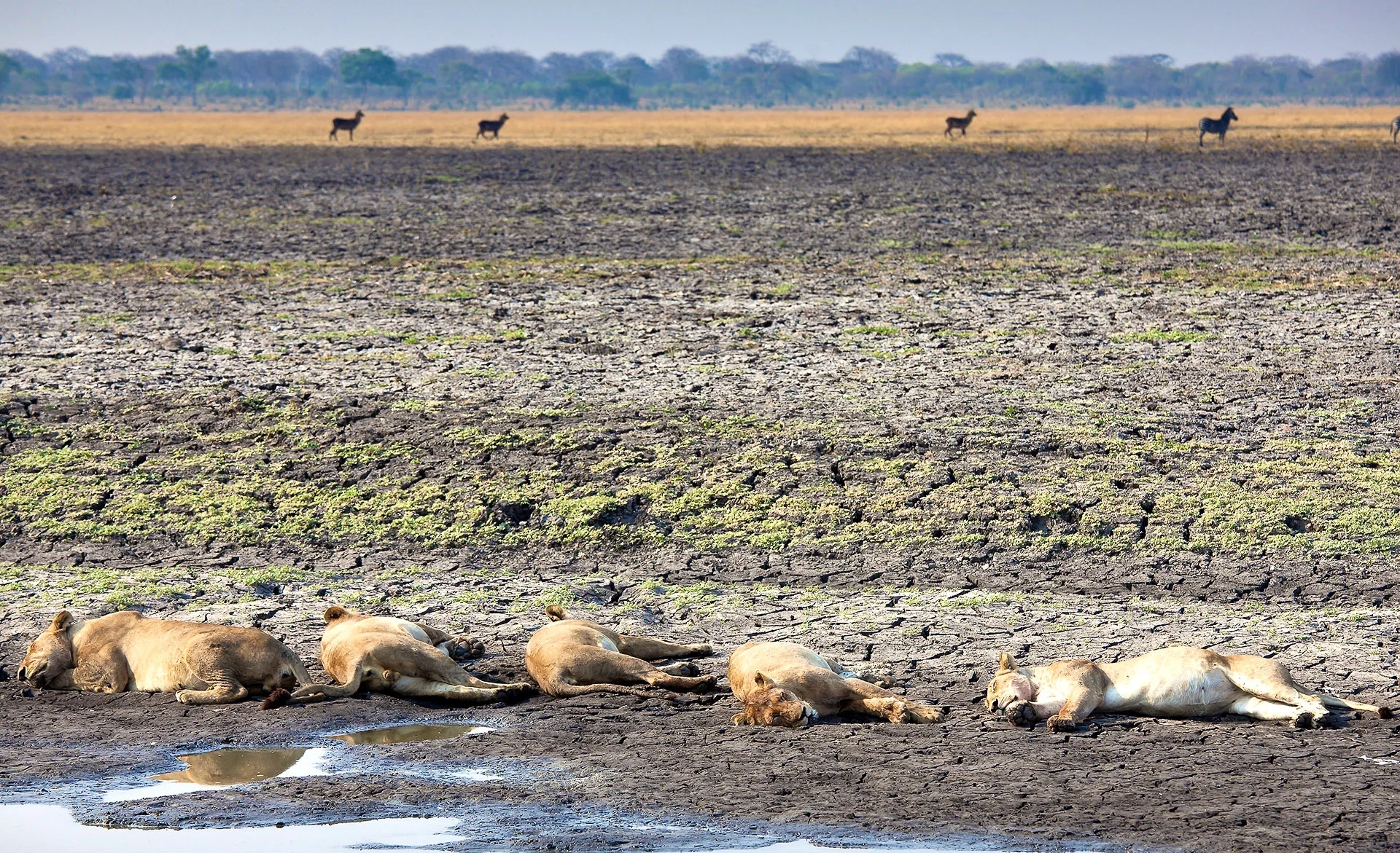 When to go on safari in Katavi