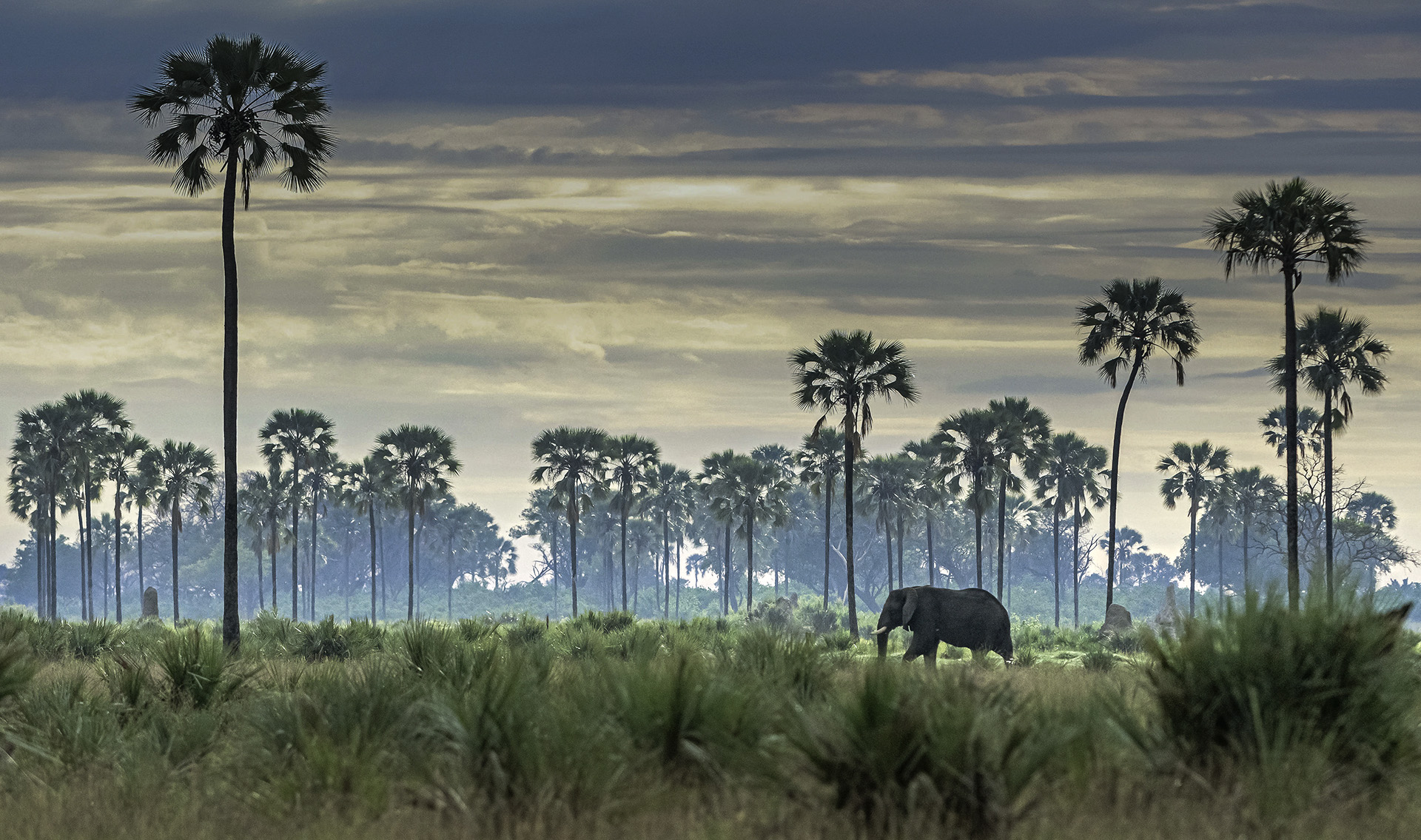 Best time of year for your safari in Botswana