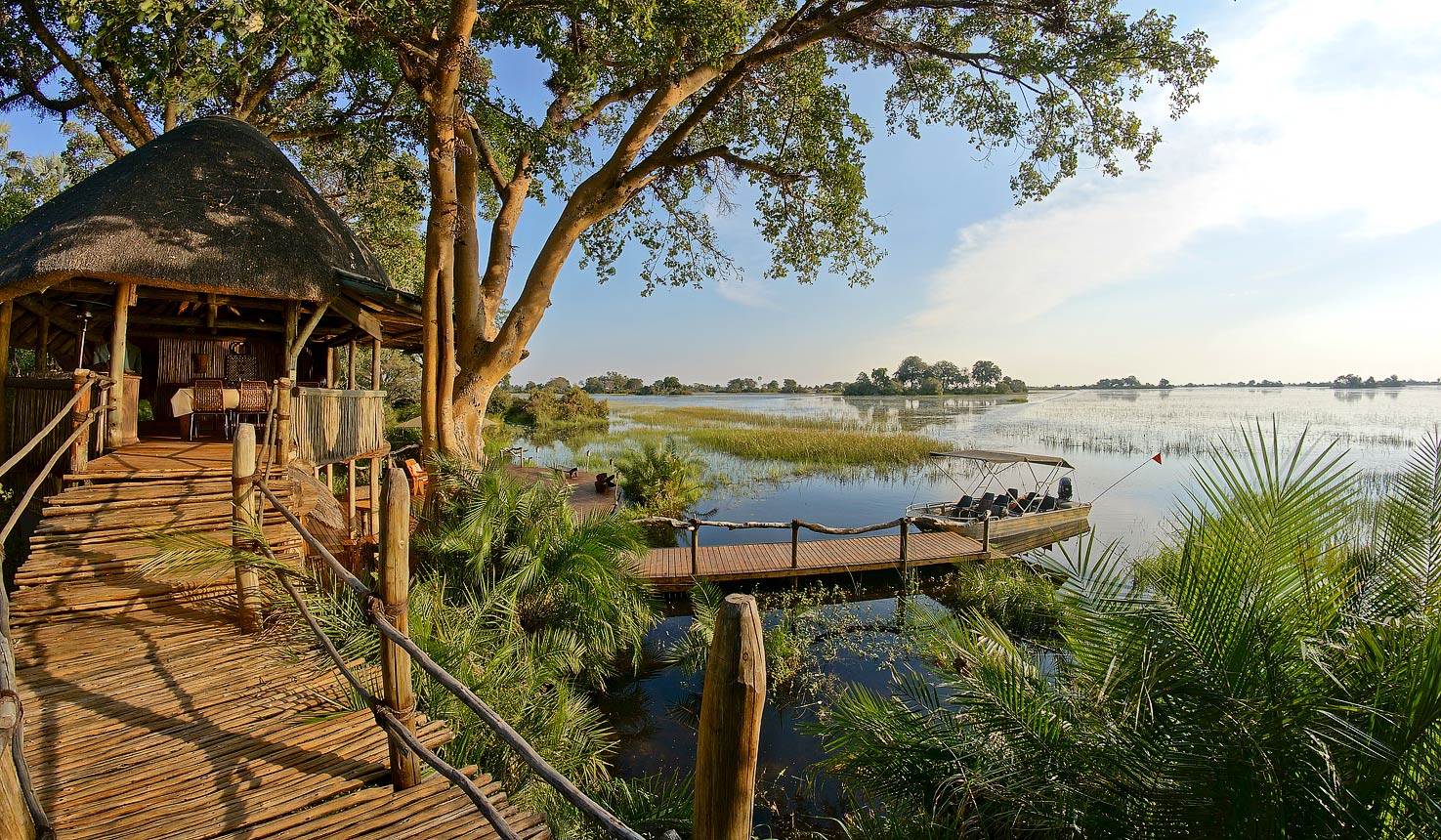 Superb camps and lodges