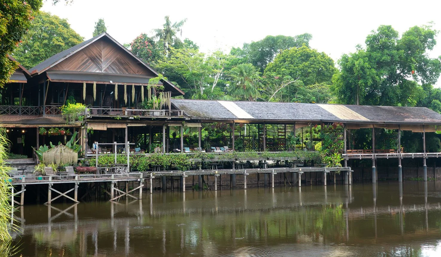 Sepilok Nature Resort