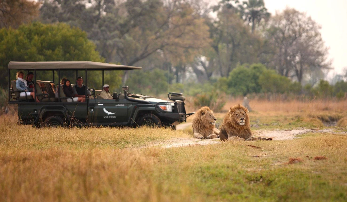 Sandibe Under Canvas