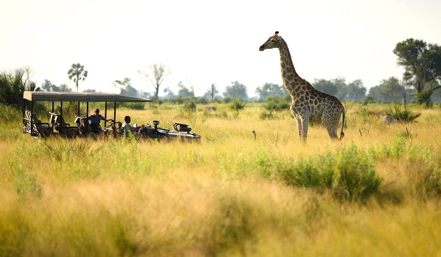 Nxabega Under Canvas