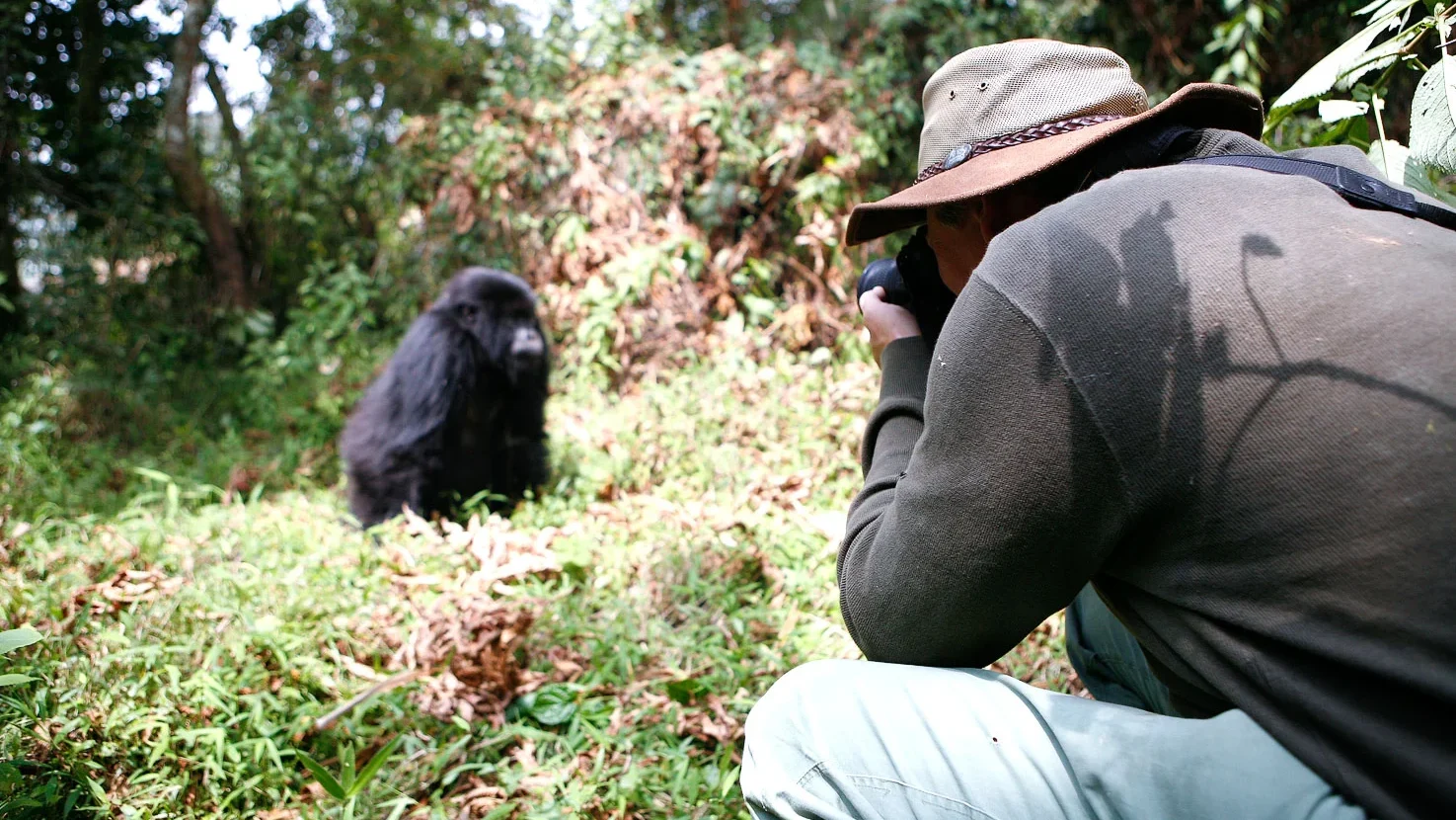 What practicalities should I consider when gorilla tracking