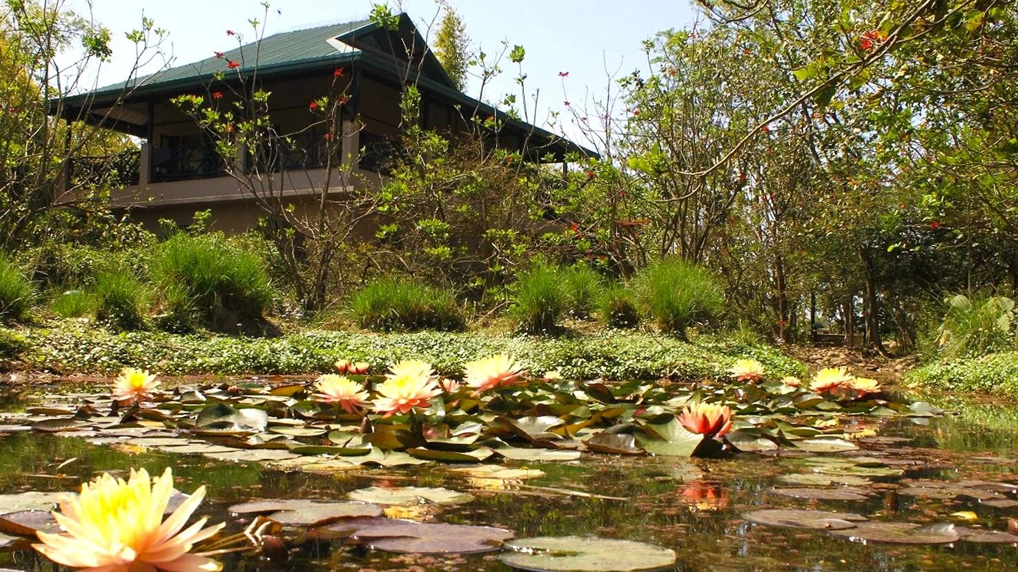 Jim’s Jungle Retreat