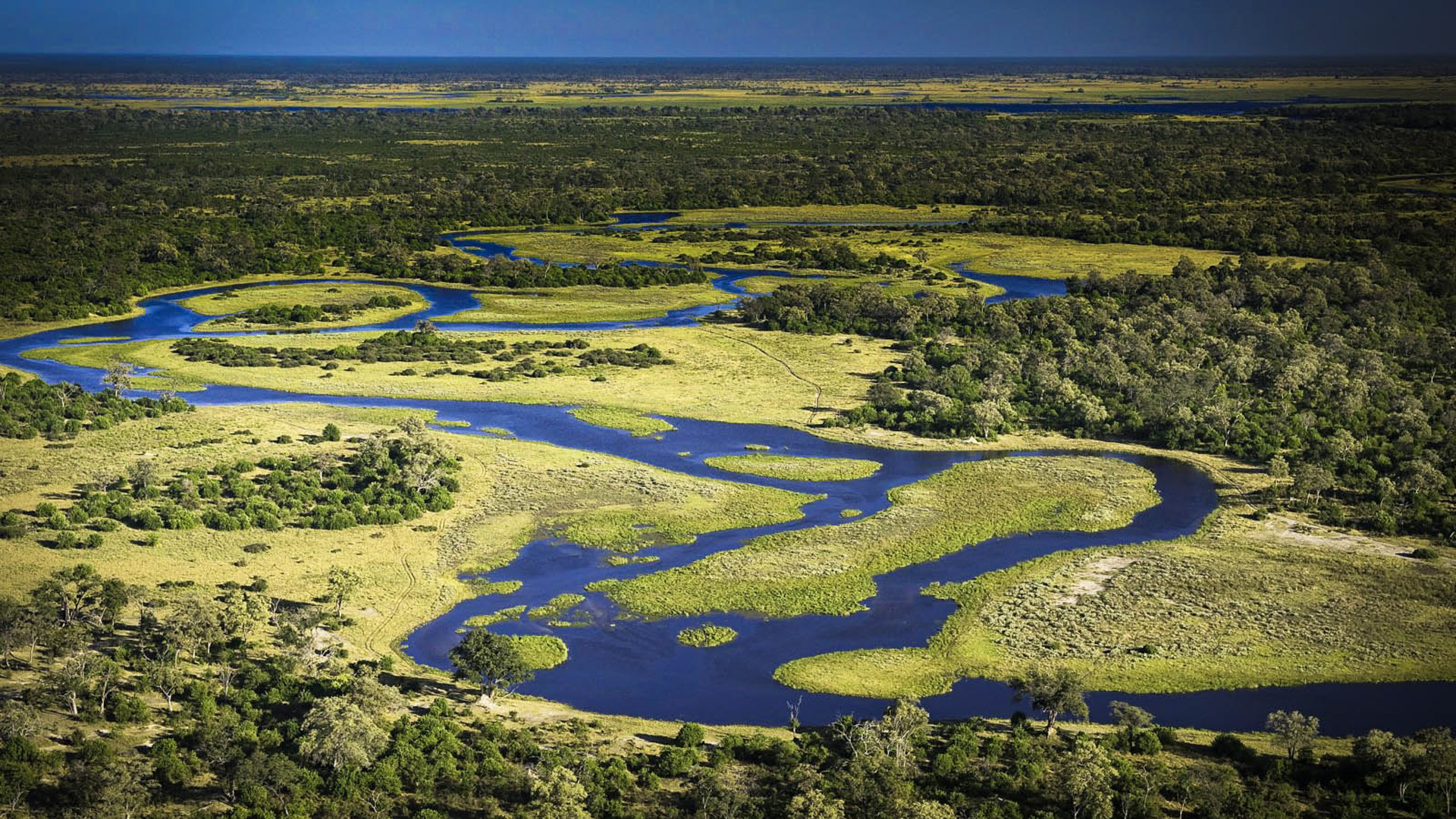 Conservation in the Okavango Delta