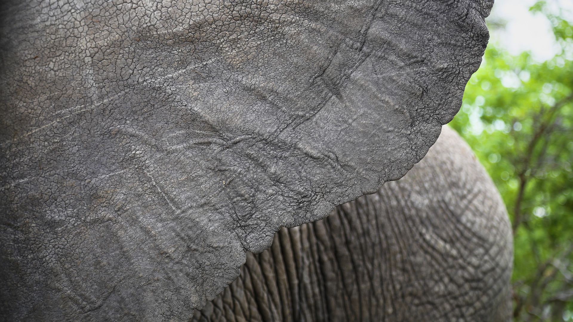 How much time should I spend in the Okavango Delta 