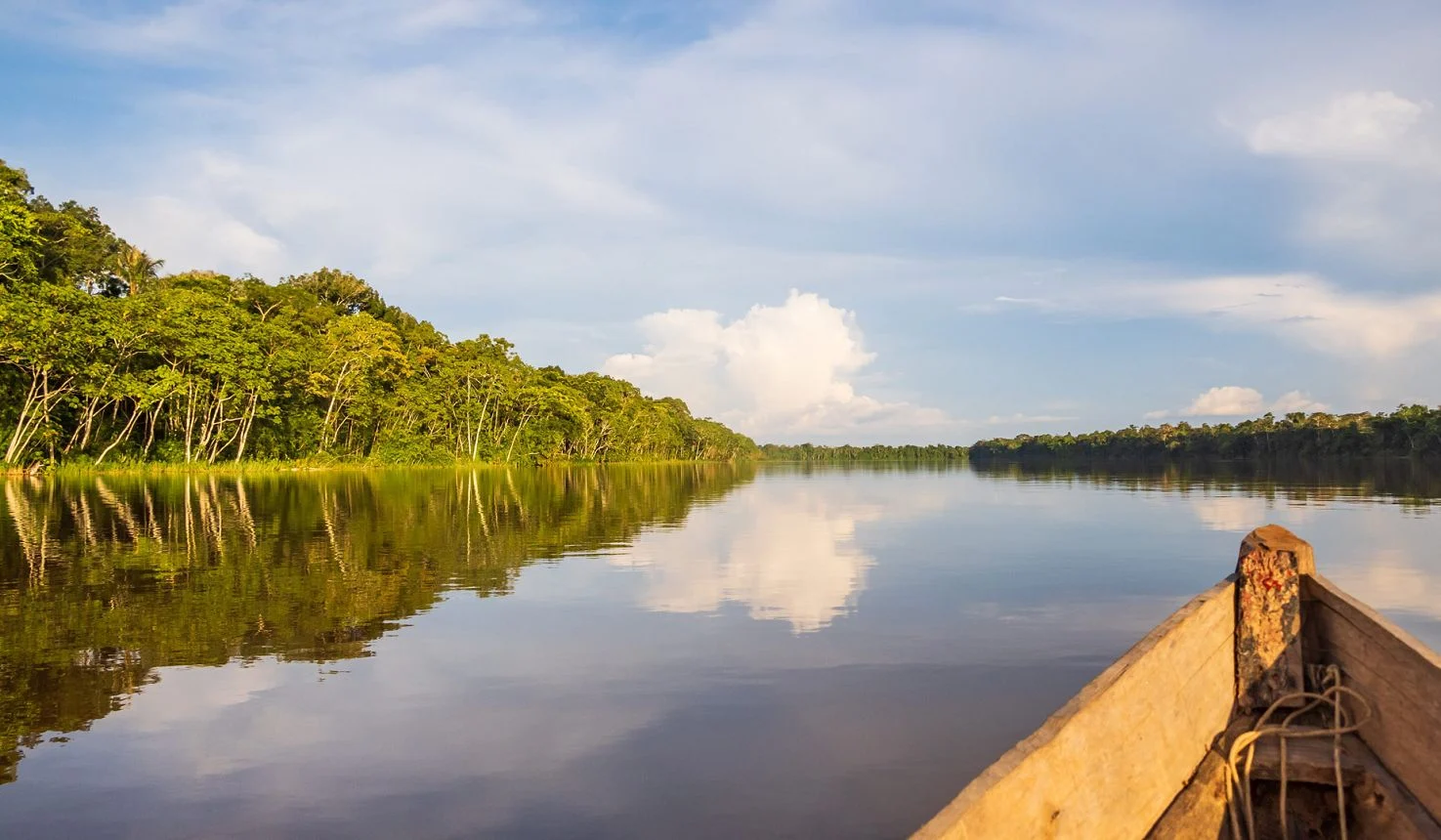 Southern Amazon